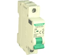 Автоматический выключатель миниатюрный TENGEN TGB1N-63A-1PC6 Модульный выключатель 1P 6A C 4,5kA 1х модуль УТ-00026928
