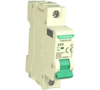 Автоматический выключатель миниатюрный TENGEN TGB1N-63-1PC25 Модульный выключатель 1P 25A C 6kA 1х модуль УТ-00026922