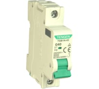 Автоматический выключатель миниатюрный TENGEN TGB1N-63-1PC40 Модульный выключатель 1P 40A C 6kA 1х модуль УТ-00026917