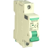 Автоматический выключатель миниатюрный TENGEN TGB1N-63A-1PC25 Модульный выключатель 1P 25A C 4,5kA 1х модуль УТ-00026935
