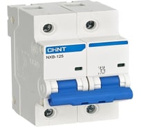 Автоматический выключатель CHINT NXB-125 2P 125А 10кА характеристика C (R) (уп. 6 шт.) 816135
