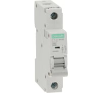 Автоматический выключатель Systeme Electric (АВ) ВА-203, 1 P, 10 A, хар-ка C, 15 кА 13455DEK