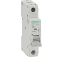 Автоматический выключатель Systeme Electric (АВ) ВА-203, 1 P, 6 A, хар-ка B, 15 кА 13402DEK