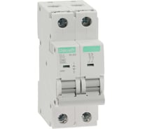 Автоматический выключатель Systeme Electric (АВ) ВА-203, 2 P, 6 A, хар-ка B, 15 кА 13415DEK