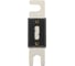 Предохранитель DL AUDIO Phoenix ANL Fuse 250A 1