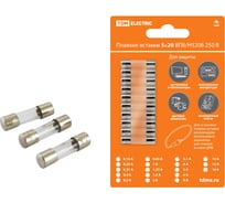 Плавкая вставка TDM ELECTRIC ВПБ6-7 1А 250В упаковка (10 шт.) SQ0738-0007