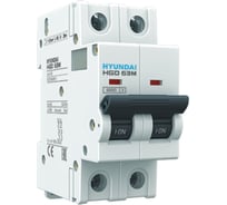 Автоматический выключатель Hyundai HGD63-M 2PMCS0000C 00040 2п, 40А, 6kA, хар-ка C 13.04.001042