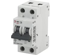 Автоматический выключатель ЭРА PRO NO902245 ВА4763 2Р, 20А, 6 кА, кривая С Б0048835