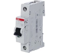 Автоматический 1-полюсной выключатель ABB S201C100 2CDS251001R0824