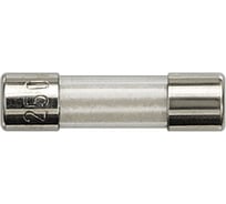 Плавкая вставка для диммеров флуоресцентных ламп Siemens запасная, 250В, 4А, 5TG8330