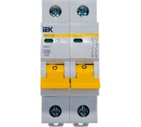 Автоматический 2-полюсный выключатель IEK ВА47-29 2А, С 4.5кА MVA20-2-002-C