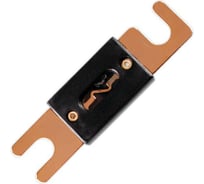 Предохранитель Pro Legend ANL 150А, Gold, PL9232