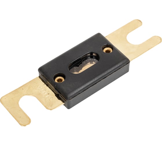 Предохранитель Pro Legend ANL 300А, Gold, PL9235 1