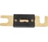 Предохранитель Pro Legend ANL 300А, Gold, PL9235 3