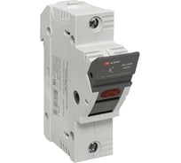Предохранитель-разъединитель EKF DF 22x58 2Р тип ПВЦ df222-e