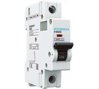 Автоматический выключатель Hyundai HGD100S 1PMBS0000C 00100 1п, 100А, 10kA, хар-ка B 13.04.001110