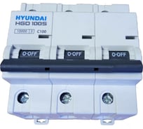 Автоматический выключатель Hyundai HGD100S 3PMCS0000C 00100 3п, 100А, 10kA, хар-ка C 13.04.001013