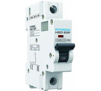 Автоматический выключатель Hyundai HGD63P 1PMDS0000C 00001 1п, 1А, 10kA, хар-ка D 13.04.000978