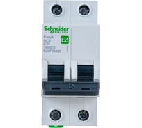 Автоматический модульный выключатель Systeme Electric 2п C 20А 4.5кА EASY 9 SchE EZ9F34220