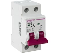 Автоматический выключатель OneKeyElectro 2p 4,5ka c-6a 2m 7700469
