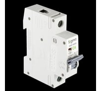 Автоматический выключатель Sigma Elektrik 1P C 4A 6kA, 1 шт 6SM104C