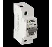 Автоматический выключатель Sigma Elektrik 1P C 80A 6kA, 1 шт 6SL180C