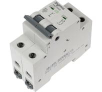 Автоматический выключатель Sigma Elektrik 2P C 6A 6kA, 1 шт 6SM206C