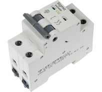 Автоматический выключатель Sigma Elektrik 2P C 32A 6kA, 1 шт 6SM232C