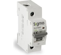 Автоматический выключатель Sigma Elektrik 1P C 80A 6kA 6SL180C