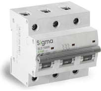 Автоматический выключатель Sigma Elektrik 3P C 100A 10kA 1SL300C