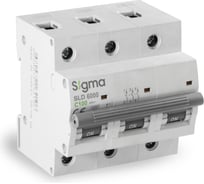 Автоматический выключатель Sigma Elektrik 3P C 100A 6kA 6SL300C
