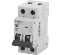 Автоматический выключатель ЭРА NO-900-22 ВА47-29 2P 4А кривая C Б0031754