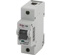 Автоматический выключатель ЭРА NO-901-32 ВА47-100 1P 100А кривая C Б0031793