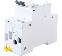 Автоматический выключатель дифференциального тока Systeme Electric 2п 1P+N SchE303926 A9D31616