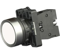 Кнопка в пластиковом корпусе Engard белая ip65 BV-1-CA15