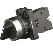Переключатель Engard в пластиковом корпусе стандартная ручка "0-1" ip65 SW-1-CD21