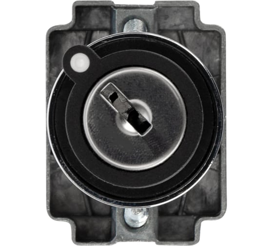 Переключатель REXANT BD32 4P с замком NO 36-5553