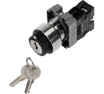 Переключатель BD21 2-полюса 2p с замком НО REXANT 36-5552