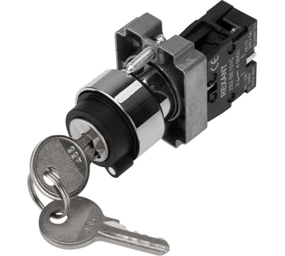 Переключатель REXANT BD21 2P с замком NO 36-5552