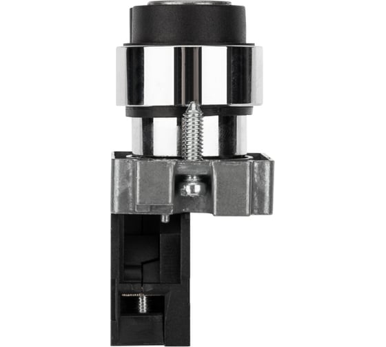 Переключатель REXANT BD21 2P с замком NO 36-5552