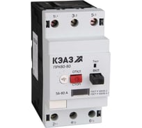 Пускатель КЭАЗ ПРК80-40 269960
