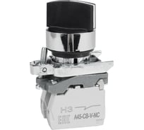 Переключатель КЭАЗ OptiSignal D22 C4-S-25 2 положения, металл, 1НО+1НЗ XB4BD25 332171