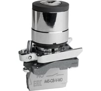 Переключатель КЭАЗ OptiSignal D22 C4-SK-21 с ключем, 2 положения, металл, 1НО XB4BG21 332170