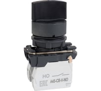 Переключатель КЭАЗ OptiSignal D22 C5-S-21 2 положения, пластик, 1НО XB5AD21 332183