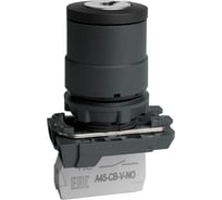 Переключатель КЭАЗ OptiSignal D22 C5-SK-21 с ключем 2 поз пластик 1НО XB5AG21 -14шт 332184