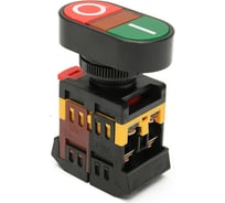 Кнопка TDM ELECTRIC APВВ-22N I-O, d22мм, неон/230В, 1з+1р SQ0704-0021