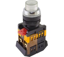 Кнопка TDM ELECTRIC ABLFP-22 прозрачная, d22мм, неон/230В, 1з+1р SQ0704-0032