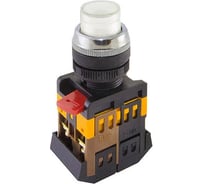 Кнопка TDM ELECTRIC ABLFP-22 белый, d22мм, неон/230В, 1з+1р SQ0704-0030