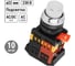 Кнопка TDM ELECTRIC ABLFP-22 белый, d22мм, неон/230В, 1з+1р SQ0704-0030 2