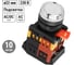 Кнопка TDM ELECTRIC ABLFS-22 белый, d22мм, неон/230В, 1з+1р SQ0704-0012 2